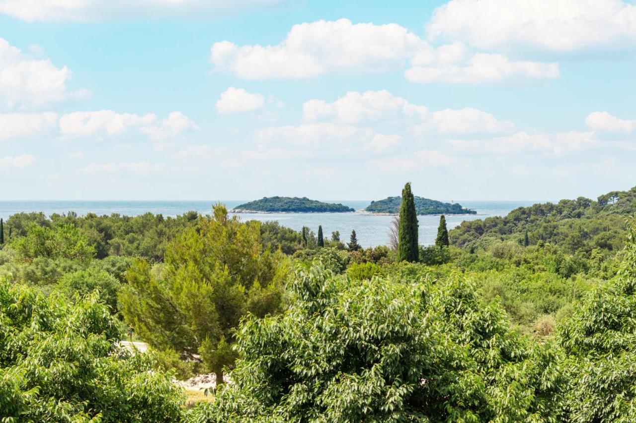 Centener * Rovinj